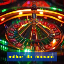 milhar do macaco que mais saem no jogo do bicho