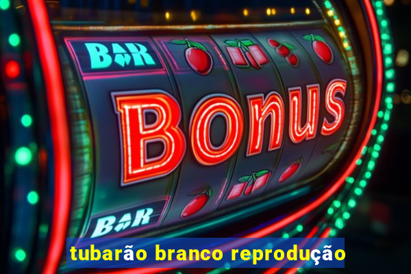 tubarão branco reprodução