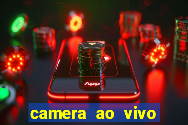 camera ao vivo beto carrero