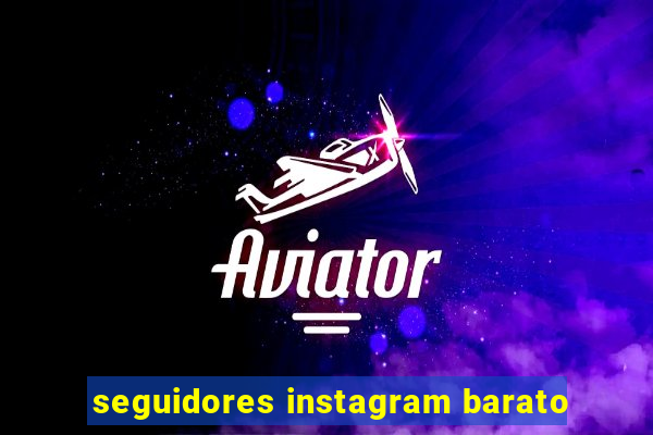 seguidores instagram barato