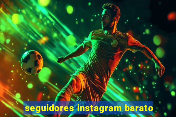 seguidores instagram barato