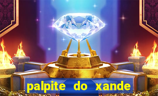 palpite do xande de hoje