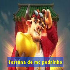 fortuna de mc pedrinho