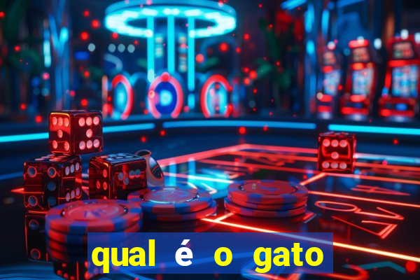 qual é o gato mais feio