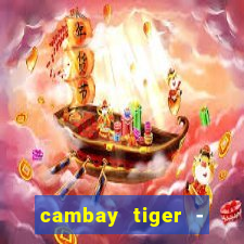 cambay tiger - seafood & meat