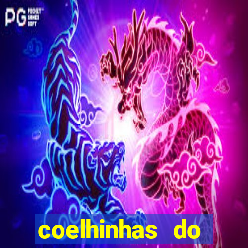 coelhinhas do brasil acompanhantes