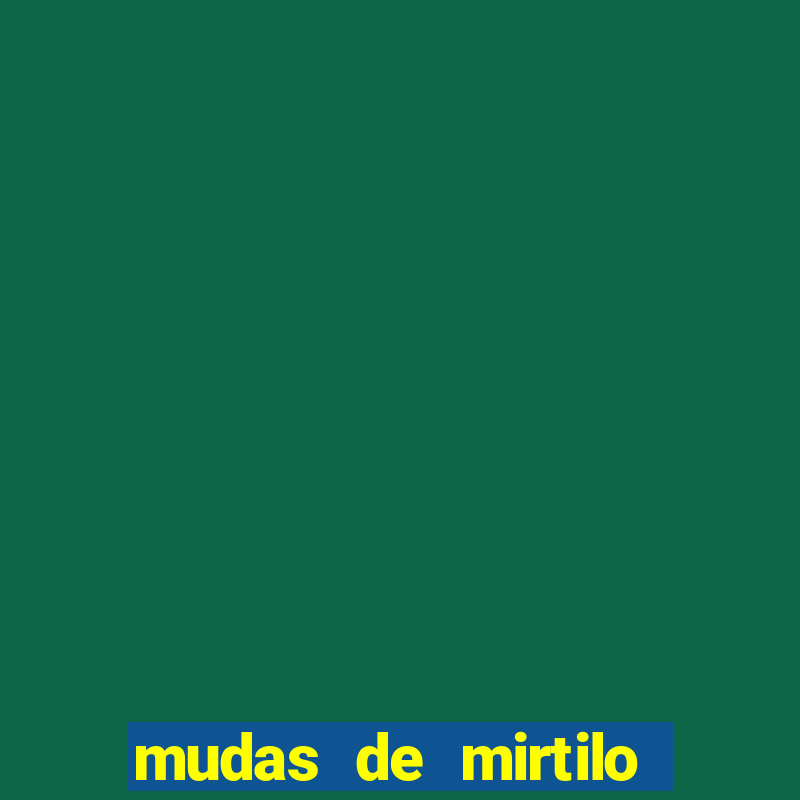 mudas de mirtilo em porto alegre