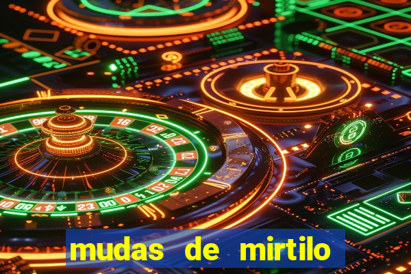 mudas de mirtilo em porto alegre