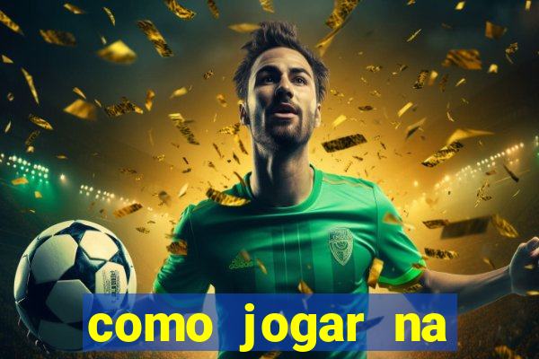 como jogar na lotinha do jogo do bicho