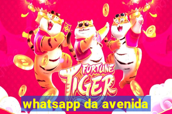 whatsapp da avenida