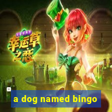 a dog named bingo