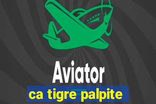 ca tigre palpite