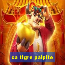 ca tigre palpite