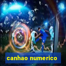 canhao numerico