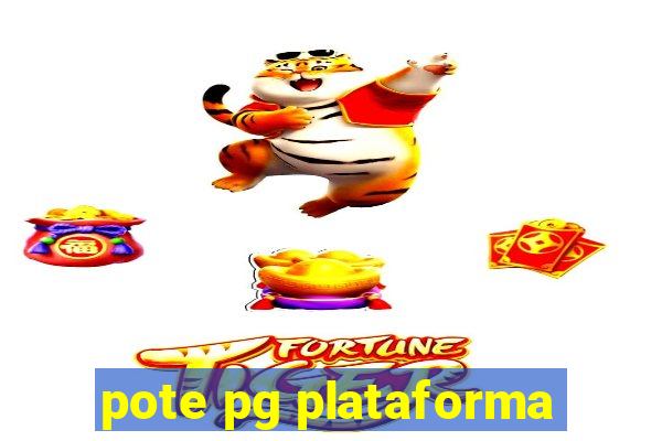 pote pg plataforma