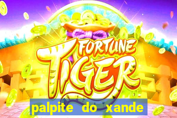 palpite do xande para hoje