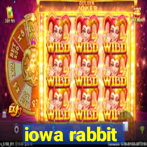 iowa rabbit