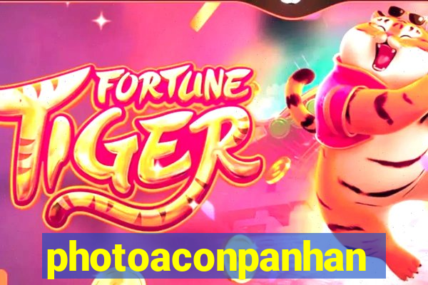 photoaconpanhante