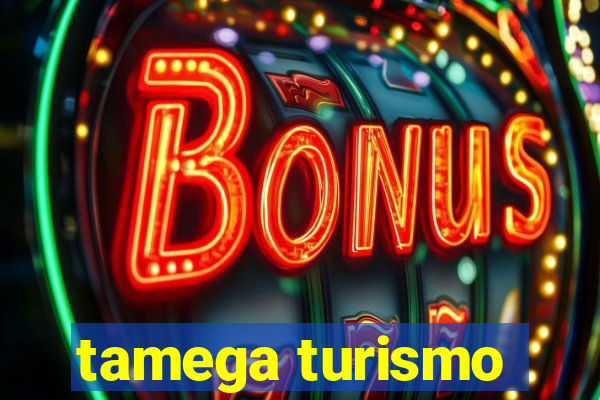 tamega turismo