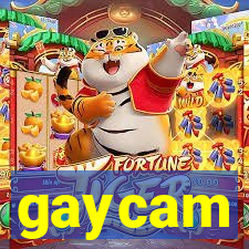 gaycam