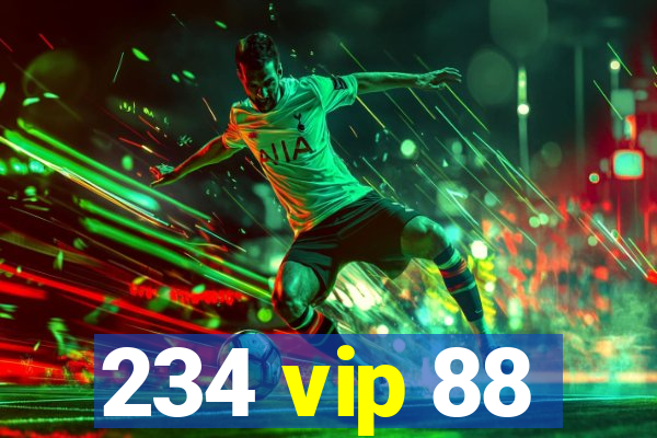 234 vip 88