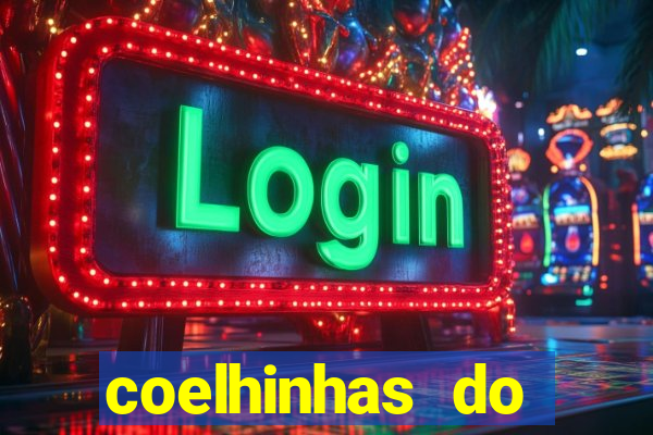 coelhinhas do brasil recife