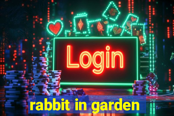 rabbit in garden