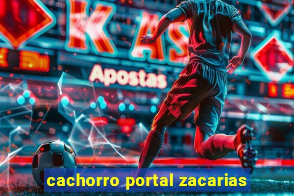 cachorro portal zacarias