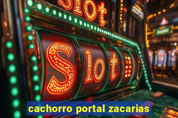 cachorro portal zacarias