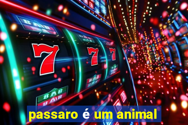 passaro é um animal