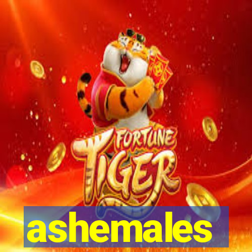 ashemales