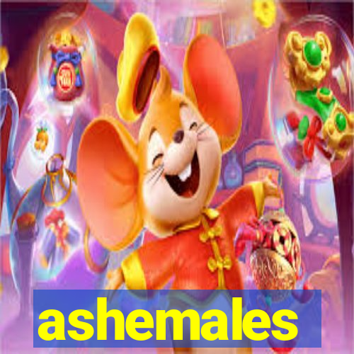 ashemales