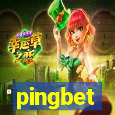 pingbet