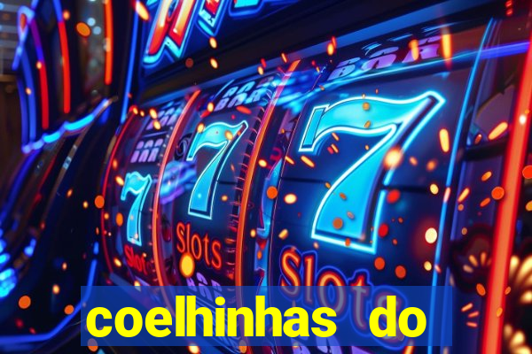 coelhinhas do brasil site