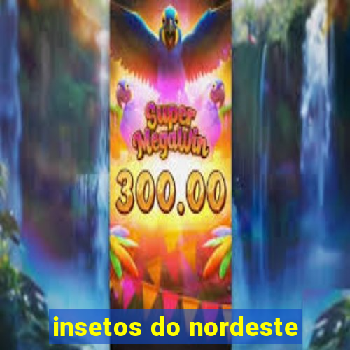 insetos do nordeste