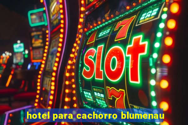 hotel para cachorro blumenau