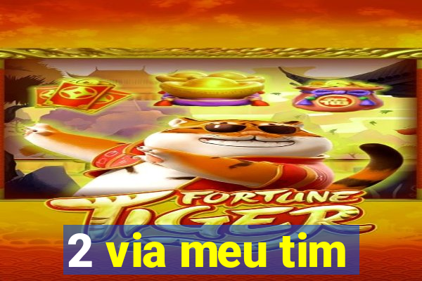 2 via meu tim