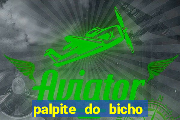 palpite do bicho deu no poste