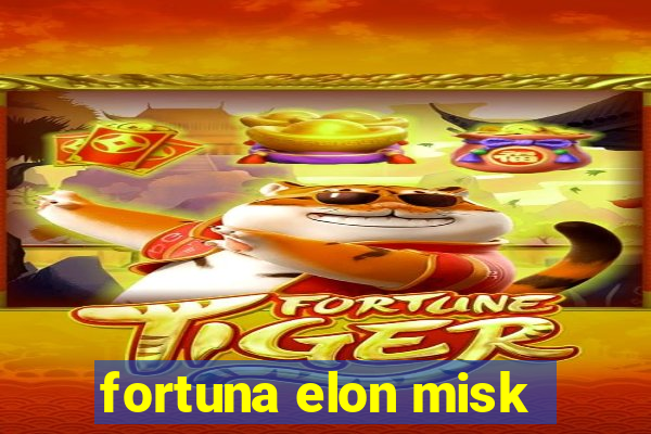 fortuna elon misk