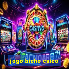 jogo bicho caico