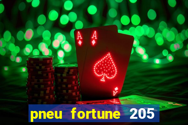 pneu fortune 205 55 r17