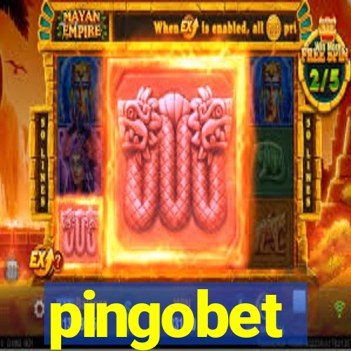 pingobet