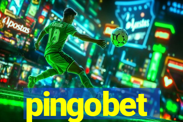 pingobet