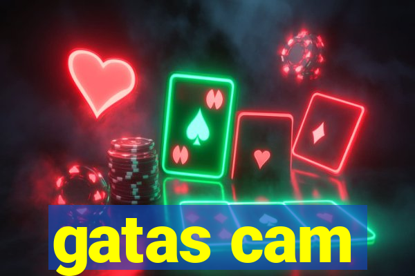 gatas cam