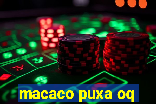 macaco puxa oq