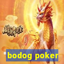 bodog poker