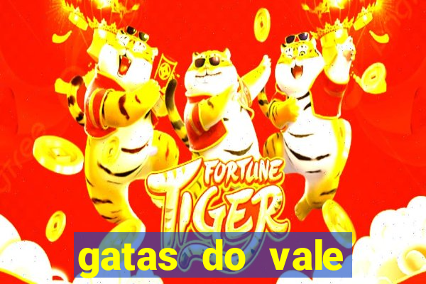 gatas do vale juazeiro ba