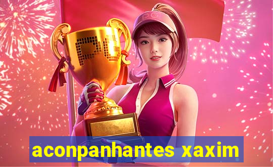 aconpanhantes xaxim