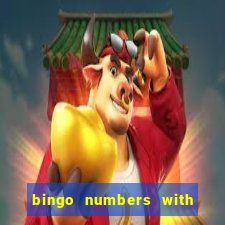 bingo numbers with highest probability