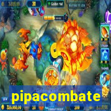 pipacombate